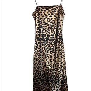 Animal print Fashion Nova